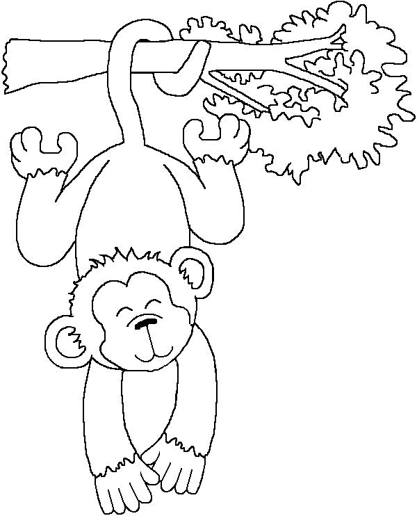 разукрашка обезьянка