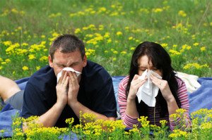 сезонная аллергия