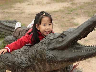 девочка на крокодиле