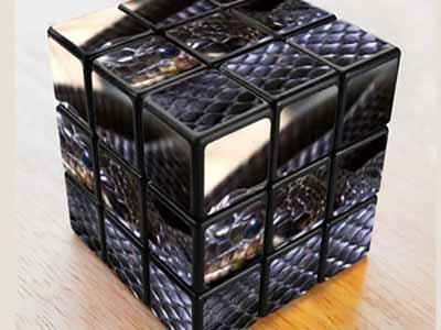черная змея в кубике Рубика