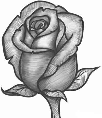 шаг 8 рисуем розу